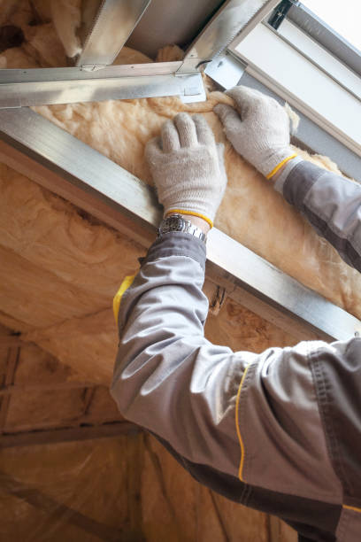 Best Eco-Friendly Insulation in St Johns, MI