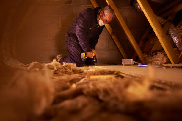 Best Commercial Insulation in St Johns, MI